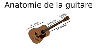 Anatomie de la guitare