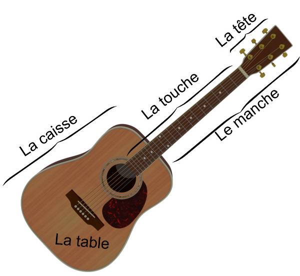 Anatomie de la guitare