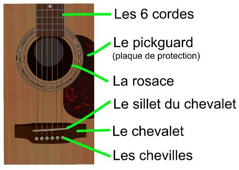 Anatomie de la guitare