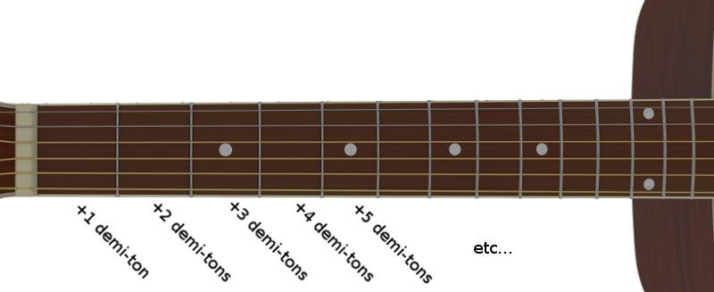 demi-tons et cases du manche de la guitare