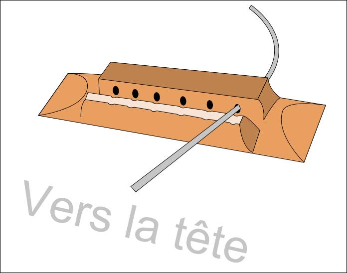 Changer les cordes grave en métal de la guitare