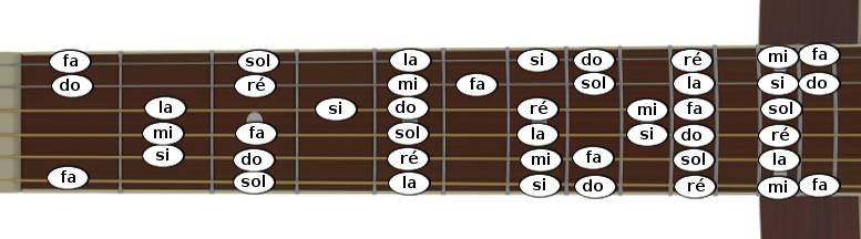 Positions des notes sur le manche de la guitare