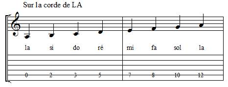 Positions des notes sur la corde de la