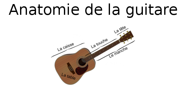 Anatomie de la guitare